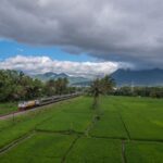 Libur Panjang Dorong KAI Raih Tingkat Hunian Kereta Lebih dari 100 Persen